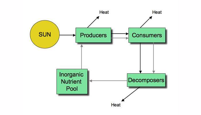 Energy Flow