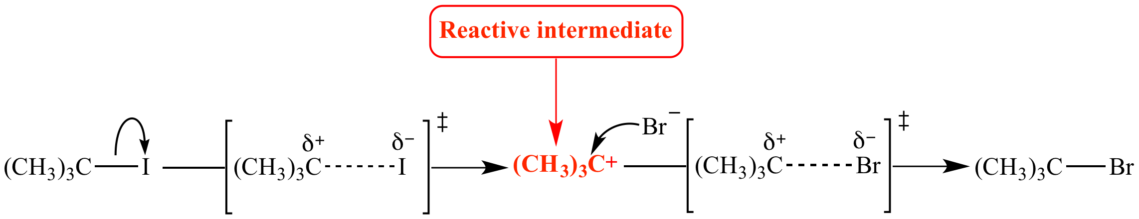 reactive intermediate