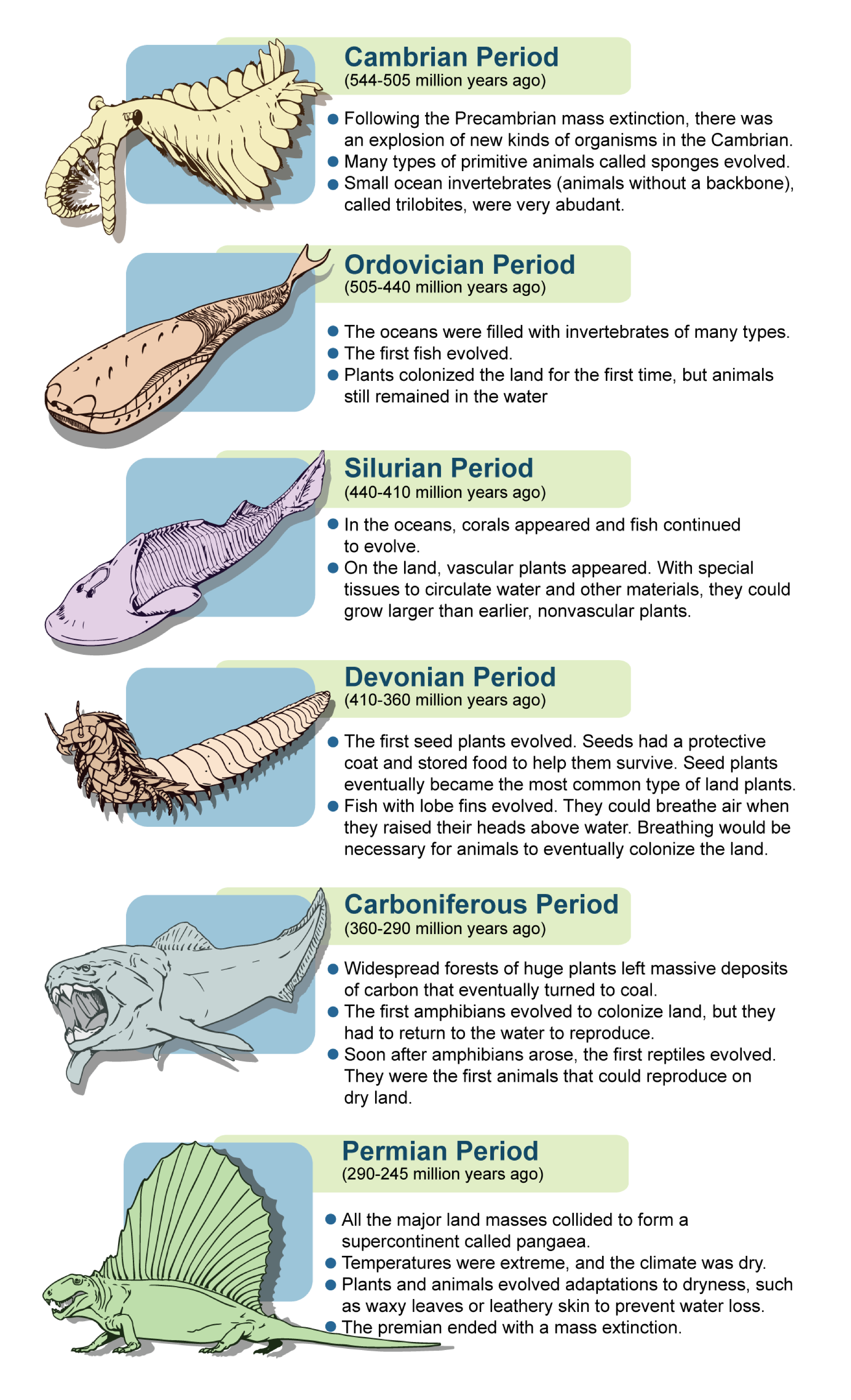 precambrian animals list