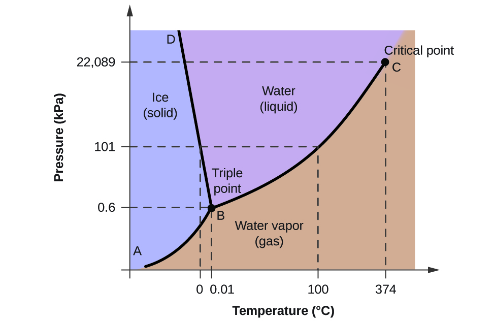 Phase diagram