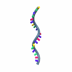 RNA Transcription Simulation