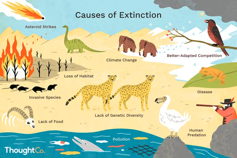 Extinction causes