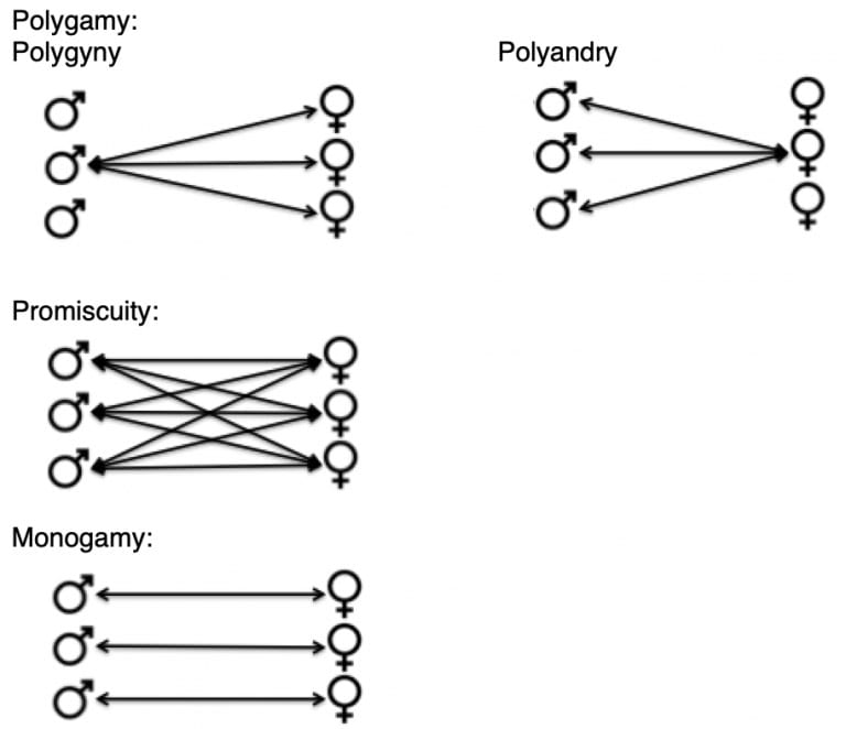 Reproductive strategies