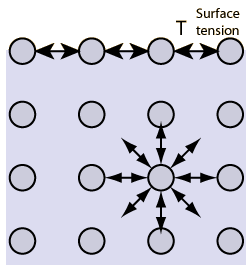 Surface Tension Causes