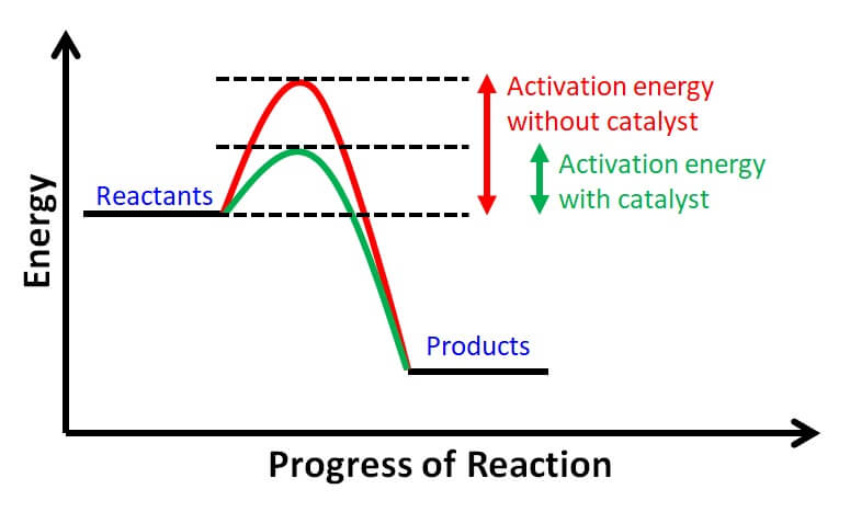 catalyst-activation-energy-reduction