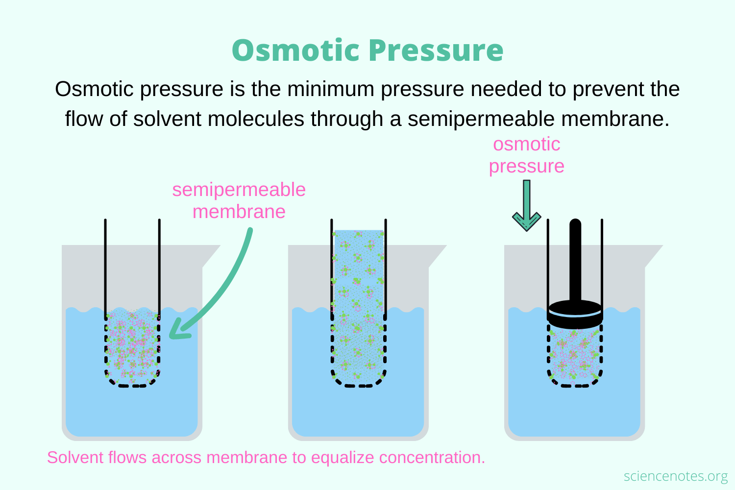 Osmotic Pressure Study Guide - Inspirit