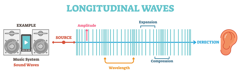 sound waves longitudinal or transverse