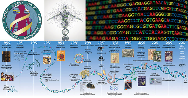 human genome project