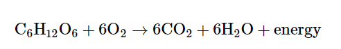 Breaking down of Glucose: Cellular respiration