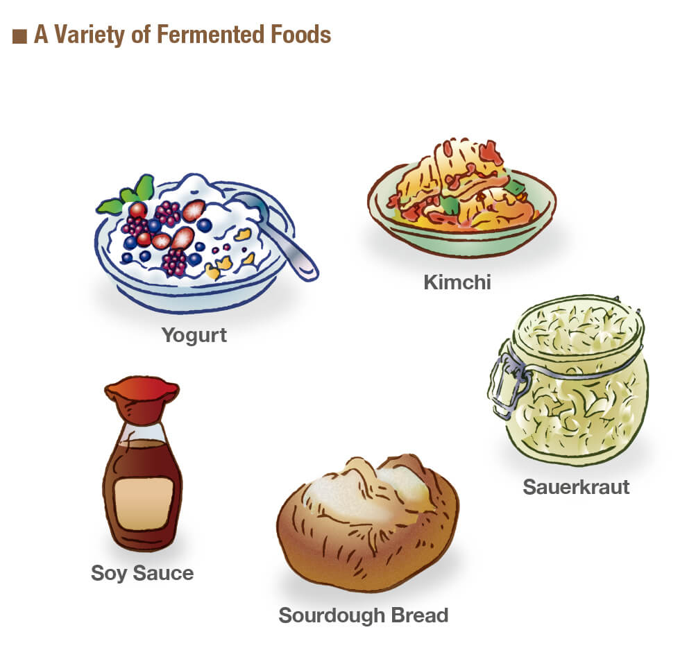 Fermented food