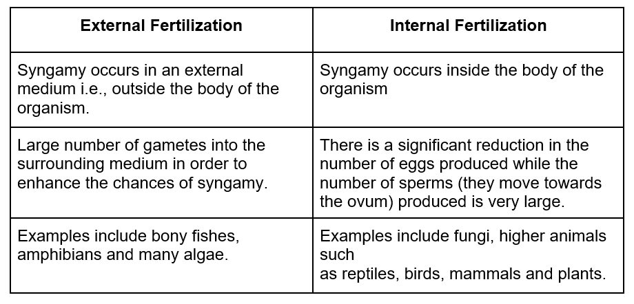 External vs Internal Fertilization