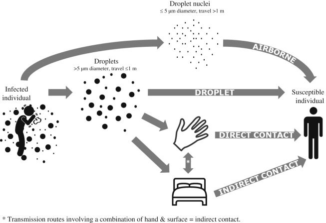 Disease Transmission