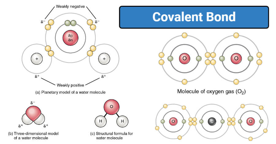 Covalent Bond Definition Types And Examples 42 Off 