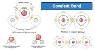 Covalent Bonds Study Guide Inspirit