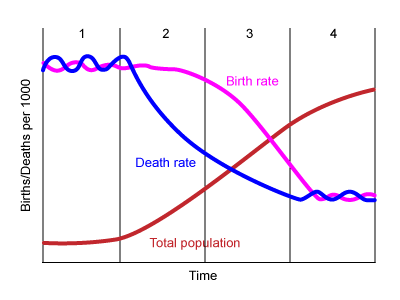 Demographic transition graph