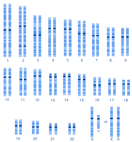 Genetic variation in humans