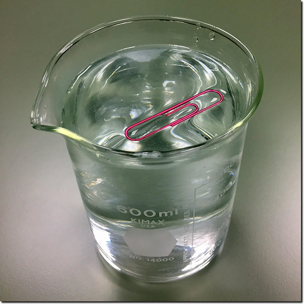 Surface-tension-paper-clip-floating