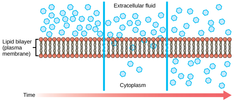 Simple Diffusion