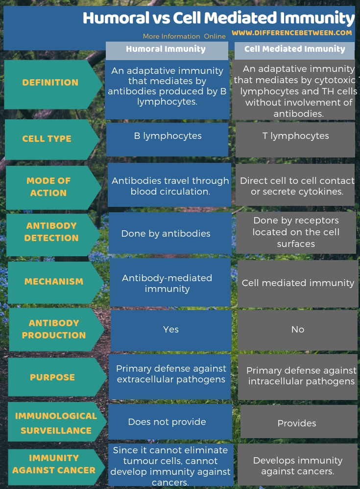 Humoral vs Cell Mediated Immunity