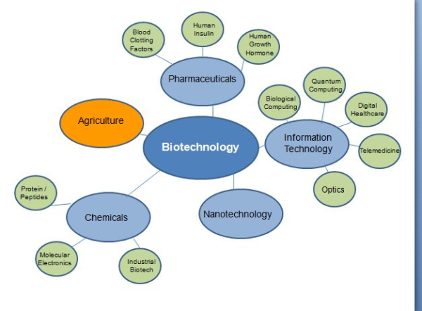 Biotechnology branches