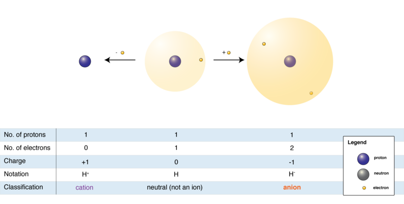 Difference Between Positive and Negative Ion  Compare the Difference  Between Similar Terms