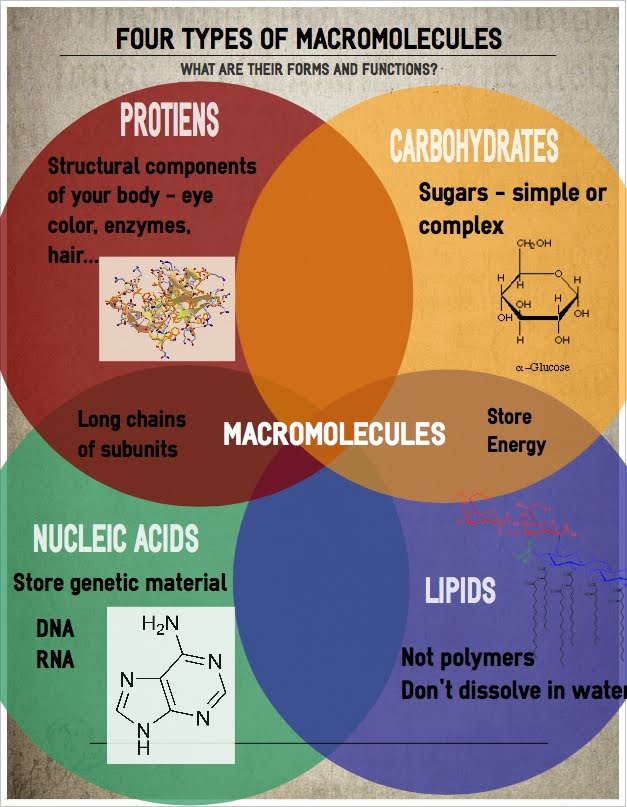 Biological macromolecules