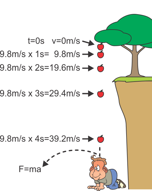 What Do You Understand By The Term Acceleration Due To Gravity