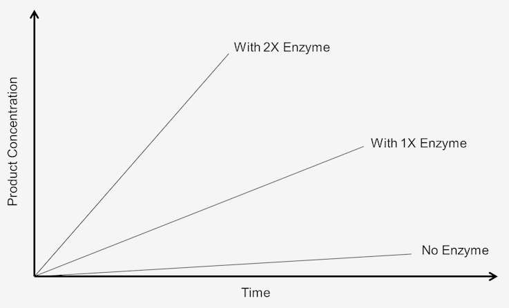 Enzyme concentration