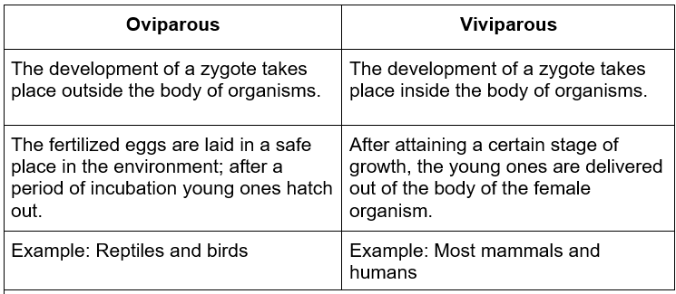 Oviparous vs Viviparous