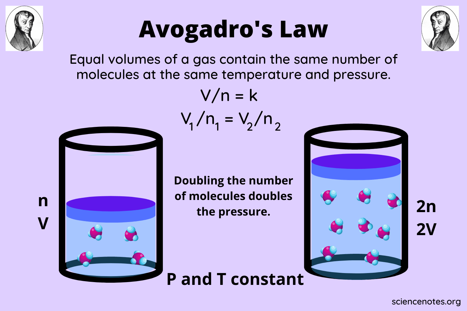 avogadro hypothesis class 11 chemistry