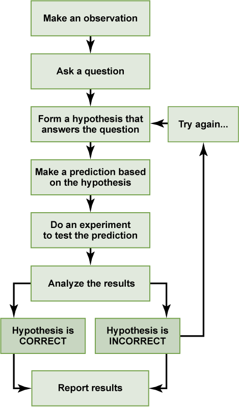 hypothesis process