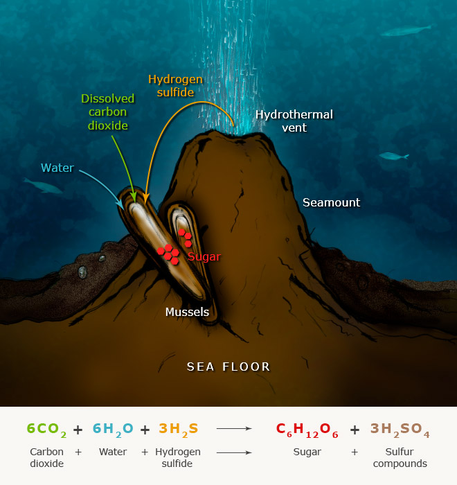 Chemosynthesis