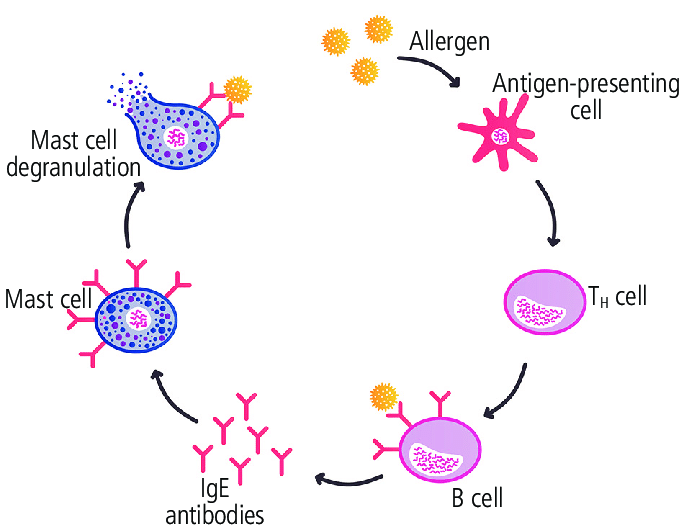 Allergy Symptoms