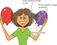 Static Electricity Study Guide Inspirit