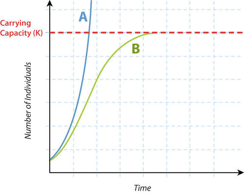 Exponential and logistic growth curves
