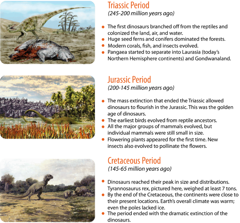 Mesozoic era