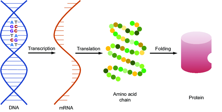 Molecular biology