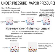 Vapor Pressure Lowering Study Guide Inspirit Learning Inc