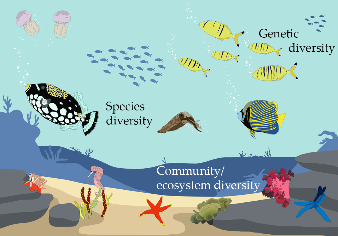 Types of biodiversity