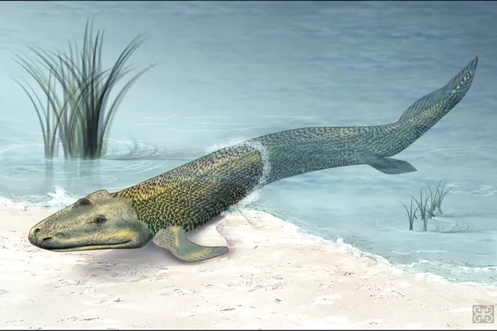 Devonian era