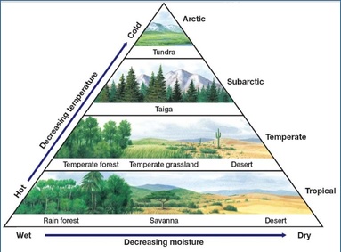 Biomes