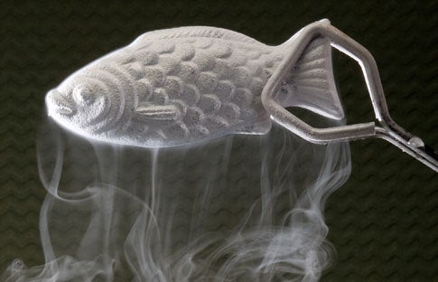 Solid Mercury Fish