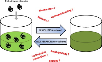 DISSOLUTION PROCESS