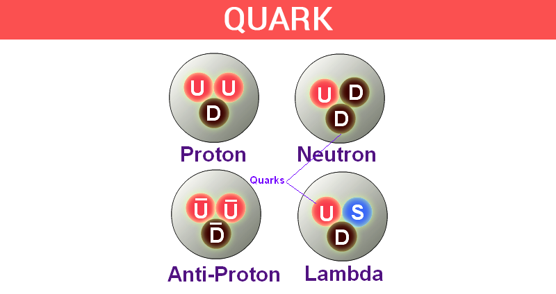 what do quarks look like