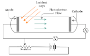 Draw A Well Labelled Diagram Of Photoelectric Cell Explain The Obser 