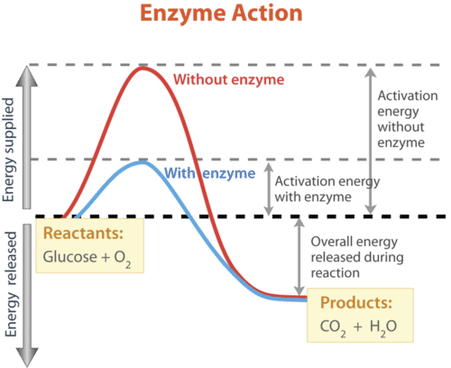 activation energy