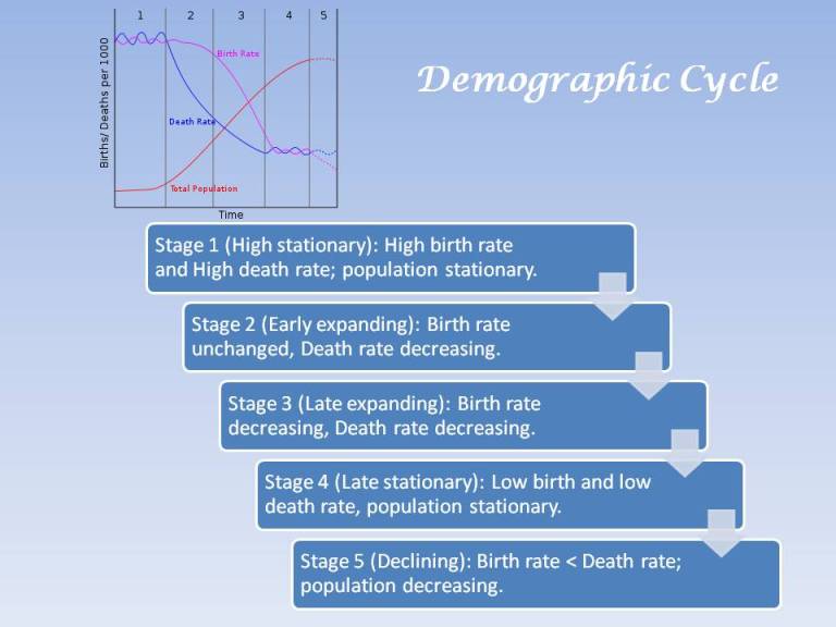 Stages of the demographic cycle