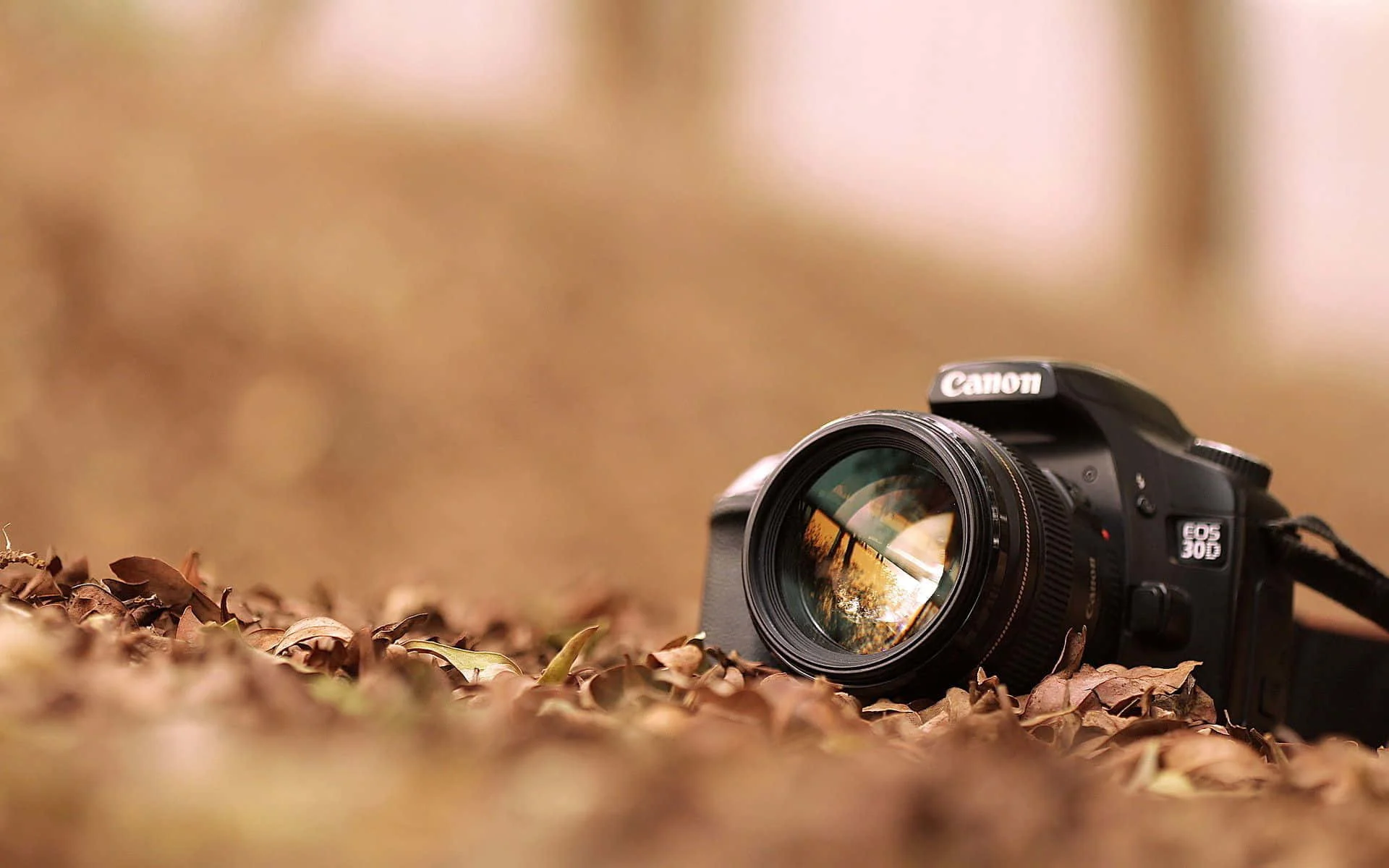 Photography background