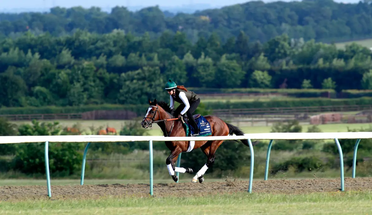Jockey riding a horse