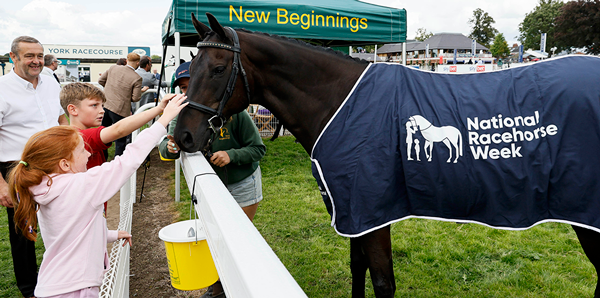 Gold Dream enjoying a cuddle ready for National Racehorse Week